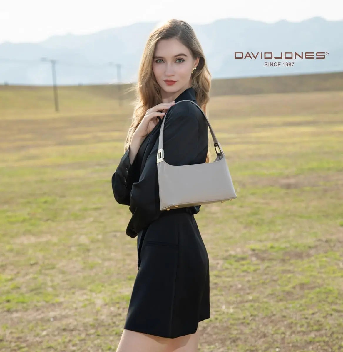 Sac porté épaule bandoulière David Jones