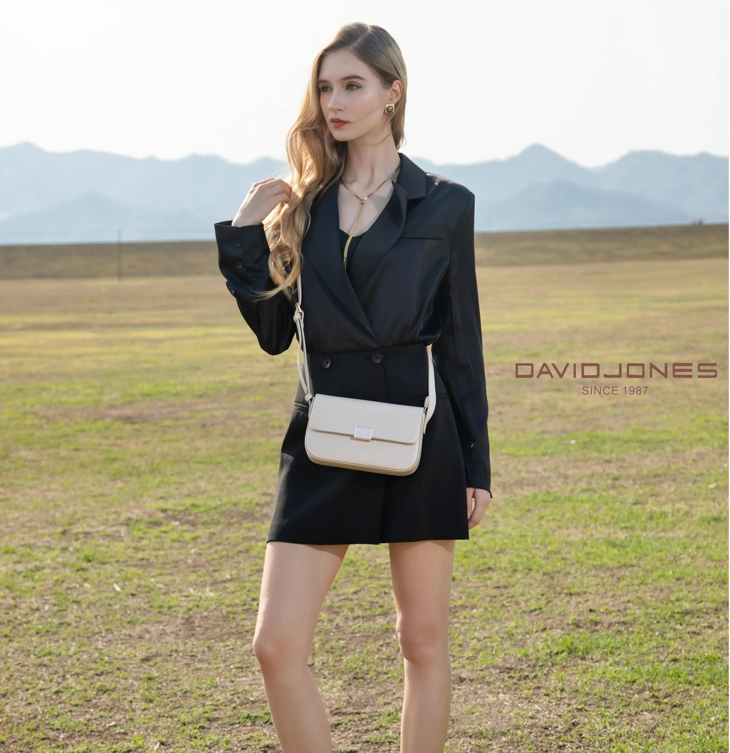 Petit sac bandoulière rabat rigide David Jones
